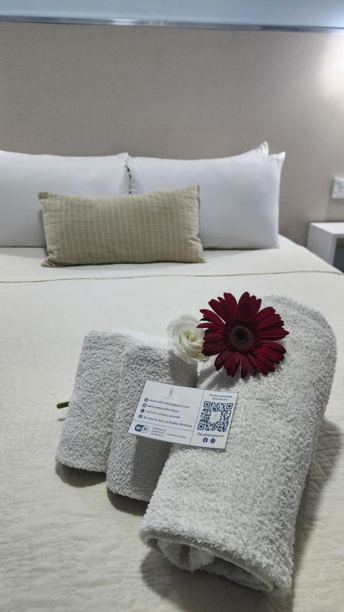 Essencial & Spa Hotel Mendoza